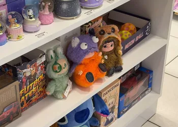 “Labubu” çılgınlığı hırsızlıkla bitti