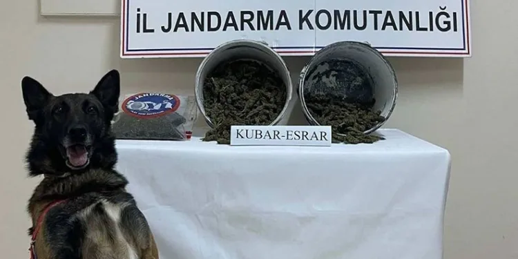 Bingöl’de 2 kilo esrar ele geçirildi: 1 tutuklama