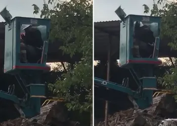 Bursa’da vinç üstünde arı alarmı
