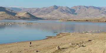 Erciş’teki barajları kuraklık vurdu