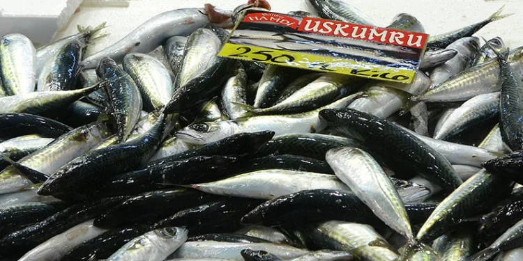 Fiyatlar düştü, ekimde bolluk bekleniyor