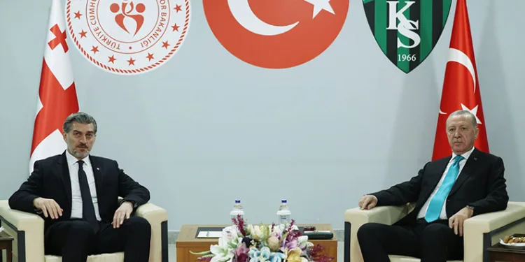 Cumhurbaşkanı Erdoğan, Gürcistan Cumhurbaşkanı ile bir araya geldi