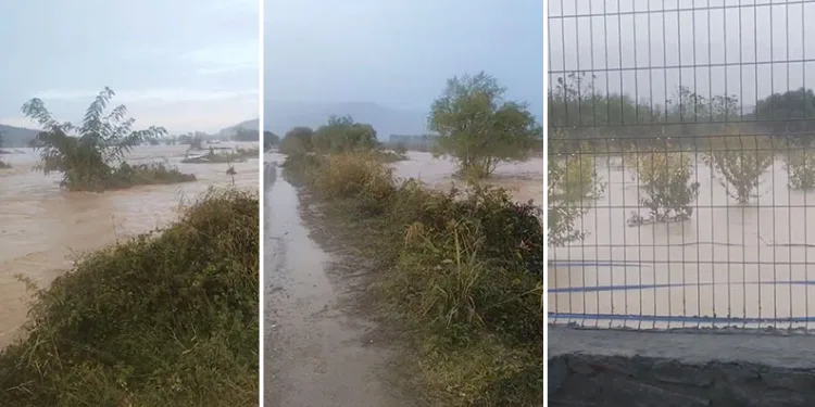 Göçkeada’da sel; tarım arazileri sular altında kaldı