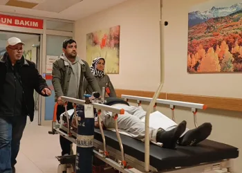 Mantar yedi hastanelik oldu