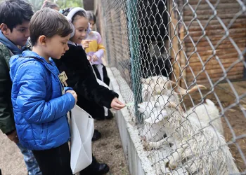 Minik kaşifler Leylek Göl Evi’nde