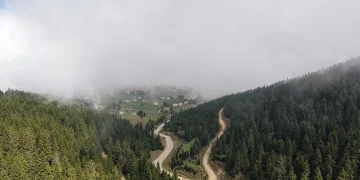 Doğu Karadeniz Bölgesinde heyelan alarmı