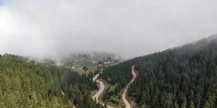 Doğu Karadeniz Bölgesinde heyelan alarmı