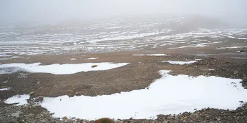 Muş’a mevsimin ilk karı yağdı