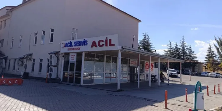 Kahramanmaraş’ta arının soktuğu çocuk hayatını kaybetti