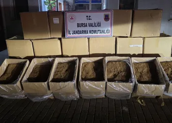 Bursa’da 750 kilogram kaçak tütün ele geçirildi