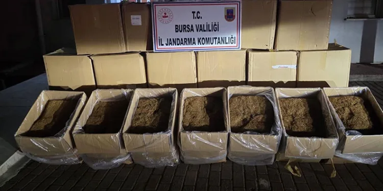 Bursa’da 750 kilogram kaçak tütün ele geçirildi
