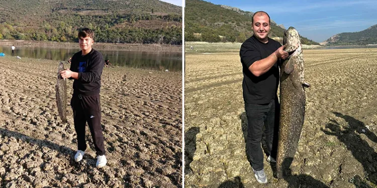 Kuruyan gölde yayın avı