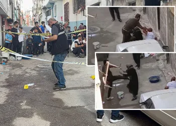 Annesini tekmeledi, ağabeyini bıçaklayarak öldürdü