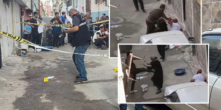 Annesini tekmeledi, ağabeyini bıçaklayarak öldürdü