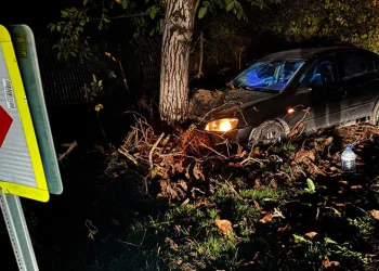 Bursa’da kontrolden çıkan otomobil ağaca çarptı: 3 yaralı