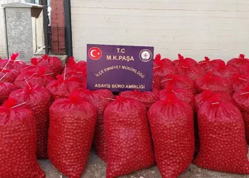Mustafakemalpaşa’da hırsızlar 46 çuval ceviz ile yakalandı