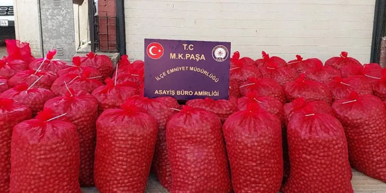 Mustafakemalpaşa’da hırsızlar 46 çuval ceviz ile yakalandı