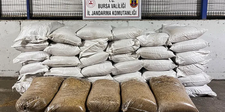 Jandarmadan kaçak sigara operasyonu