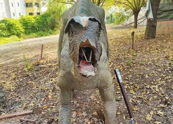 Milyonlarca lira harcanan Dinazor Park çürümeye terk edildi