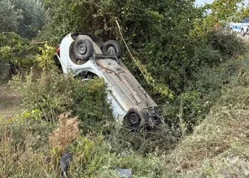 Bursa’da sollama yaparken zeytinliğe uçtu