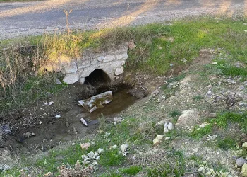 Çanakkale’de boş arazide bebek cesedi bulundu