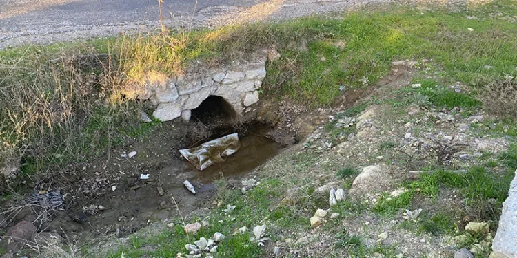 Çanakkale’de boş arazide bebek cesedi bulundu