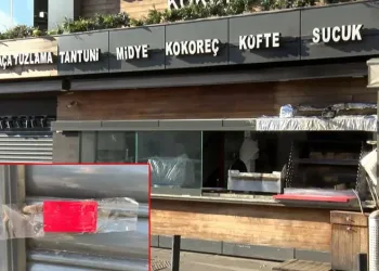 Böcek ailesine ilişkin ön otopsi raporu çıktı