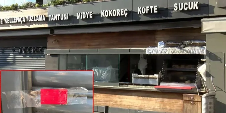 Böcek ailesine ilişkin ön otopsi raporu çıktı