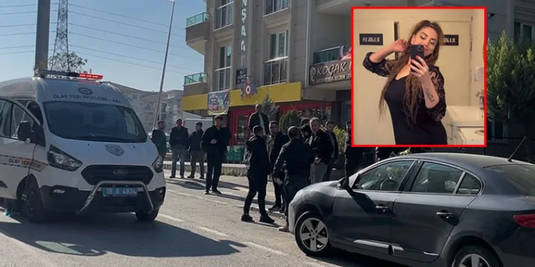 Gölyazı dünyanın “dijital billboard”unda