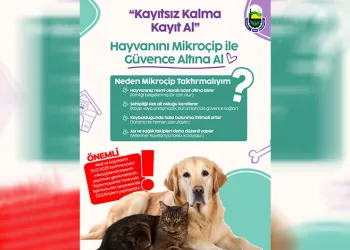 Kedi-köpek besleyenlere mikroçip uyarısı