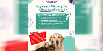 Kedi-köpek besleyenlere mikroçip uyarısı