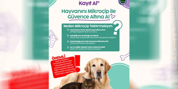Kedi-köpek besleyenlere mikroçip uyarısı