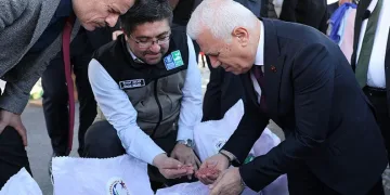 Bursalı çiftçinin yüzü gülüyor