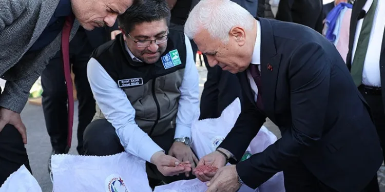 Bursalı çiftçinin yüzü gülüyor