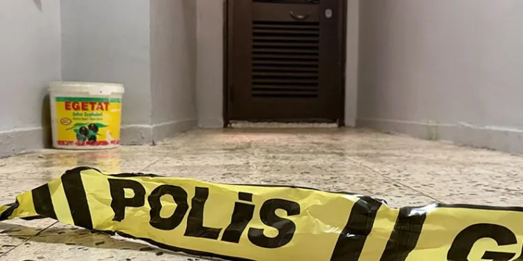 Diyarbakır’da dehşet: Anne ve ağabeyini yataklarında öldürdü