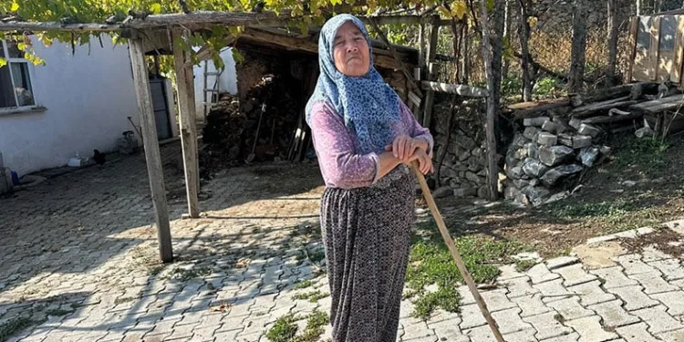 BTÜ Lisansüstü’nde mezuniyet gururu