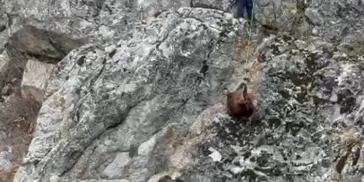 Tavuk çiftliğinin depo kısmında yangın
