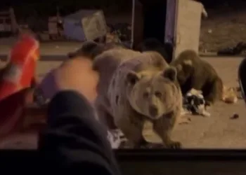 Bursa’da tehlikeli makas
