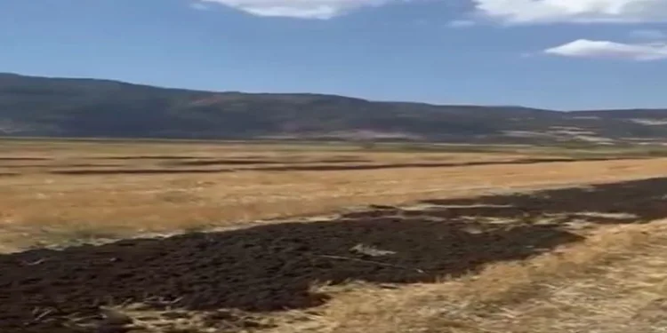 Çeşitli suçlardan aranan şahıslar polis tarafından yakalandı