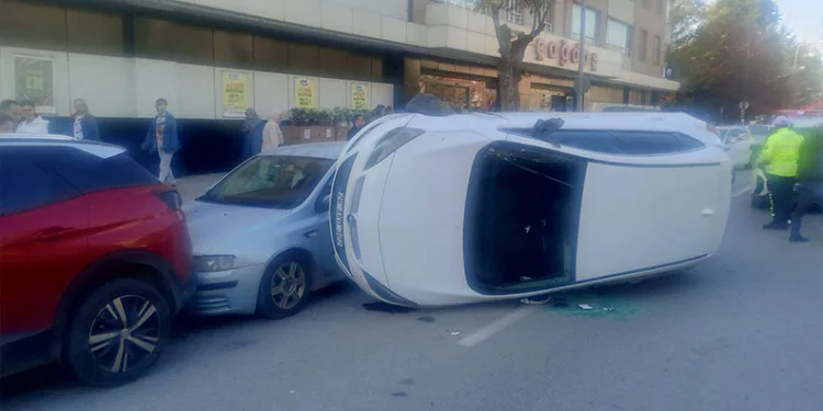 Nevşehir’de boş araziye atılmış 8 buzağı kadavrası bulundu