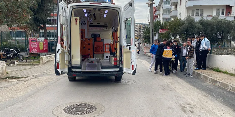 Nilüferliler, Ata’yı Mysia Yolları’nda andı