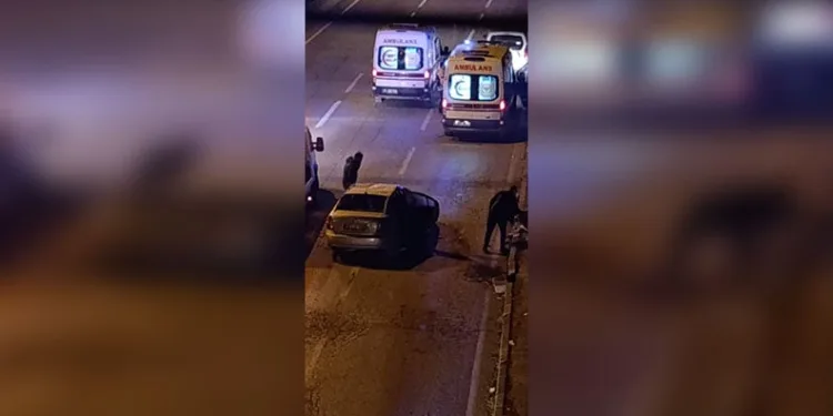 Köy muhtarının merayı kiraya vermesiyle ilgili soruşturma başlatıldı