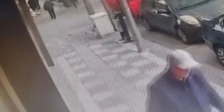 Nevşehir’de boş araziye atılmış 8 buzağı kadavrası bulundu