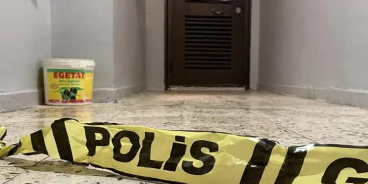 Jandarmadan aranan şahıslara yönelik operasyon