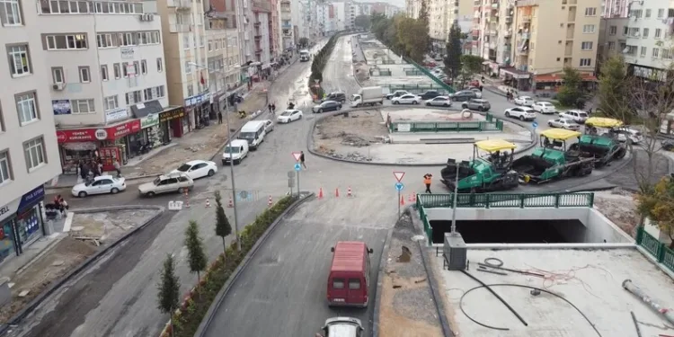 Gümüşhane’nin “Doğal Ağaç Müzesi” ziyaretçi akınına uğruyor