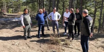 Gümüşhane’nin “Doğal Ağaç Müzesi” ziyaretçi akınına uğruyor