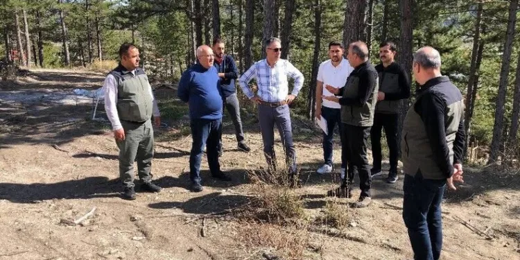 Gümüşhane’nin “Doğal Ağaç Müzesi” ziyaretçi akınına uğruyor