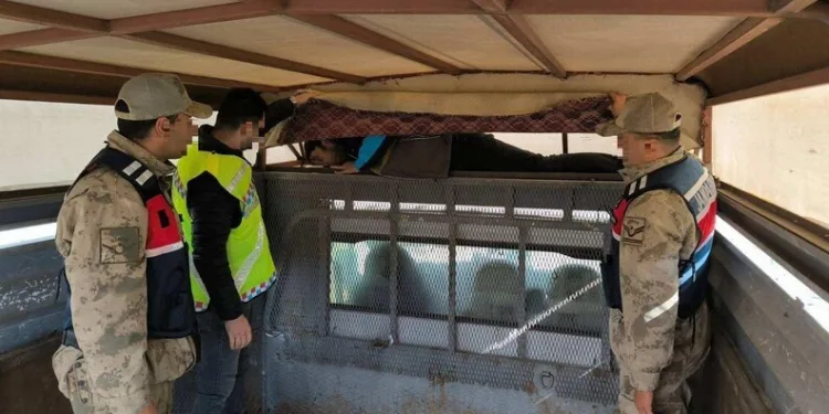 Alaçatı’da eğlence mekanına silahlı saldırı