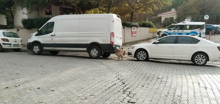 Şişli’de özel bakımevinde kalan yaşlı kadının malına göz diktikleri iddiası: 2 bavulun içinden yüklü miktarda para çıktı