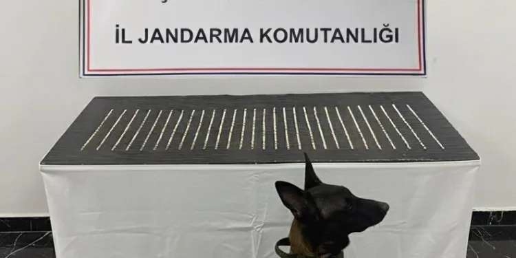 Yolun karşısına geçmeye çalışan yayaya hafriyat kamyonu çarptı